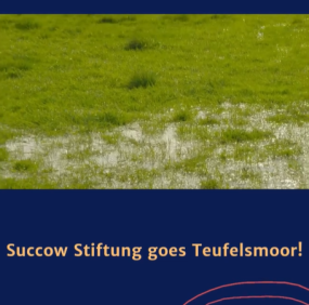 Succow Stiftung goes Teufelsmoor