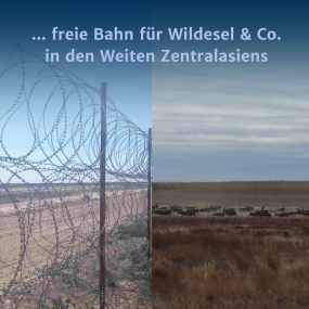 Spendenprojekt für Wildnis ohne Grenzen in Zentralasien